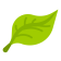 hoja